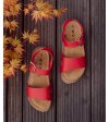 Aligi Red 1